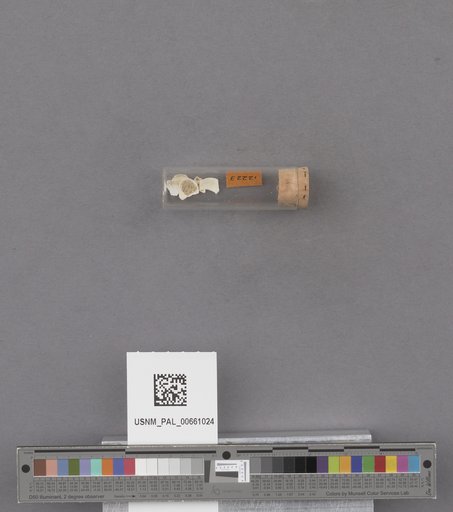 NSF ADBC EPICC TCN