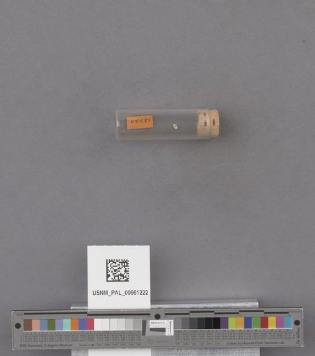 NSF ADBC EPICC TCN