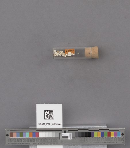 NSF ADBC EPICC TCN