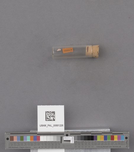 NSF ADBC EPICC TCN