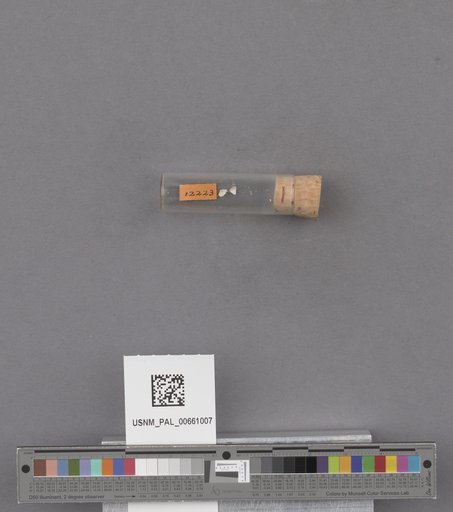 NSF ADBC EPICC TCN