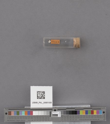NSF ADBC EPICC TCN