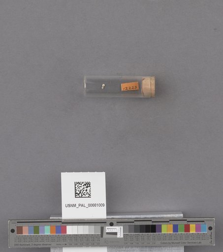 NSF ADBC EPICC TCN