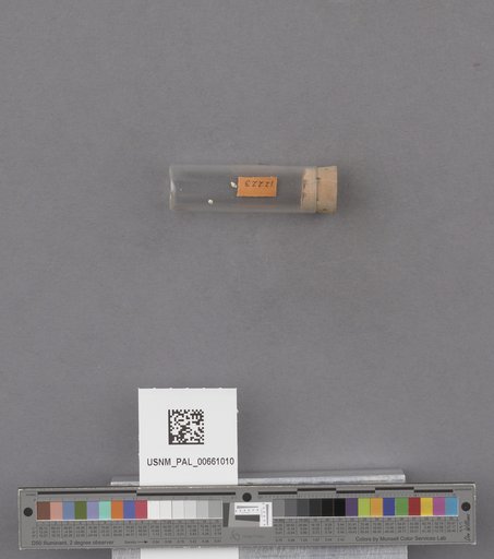 NSF ADBC EPICC TCN
