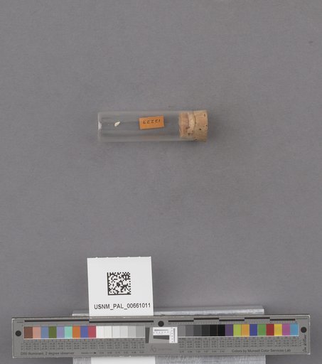 NSF ADBC EPICC TCN