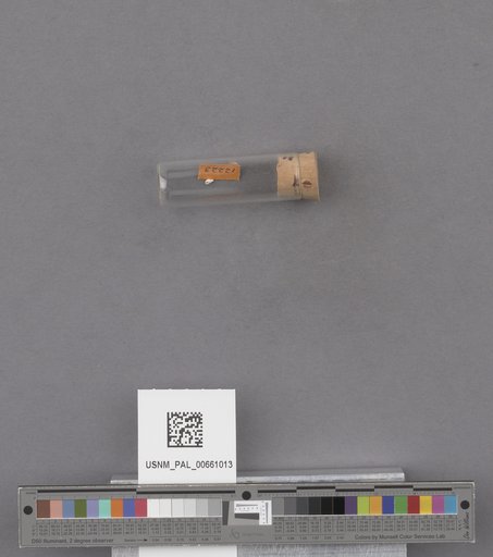 NSF ADBC EPICC TCN