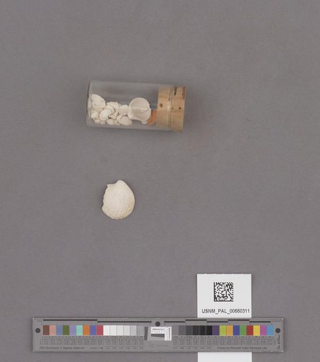 NSF ADBC EPICC TCN