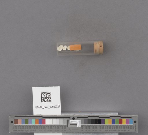 NSF ADBC EPICC TCN