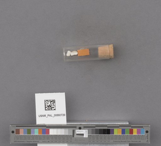 NSF ADBC EPICC TCN