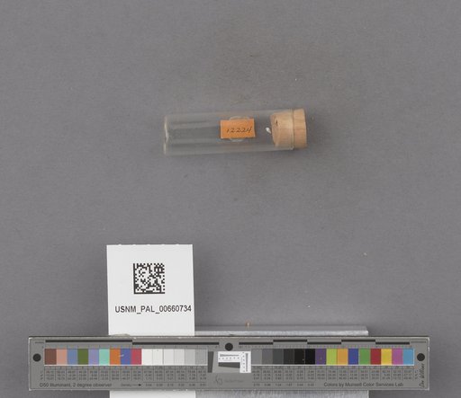 NSF ADBC EPICC TCN