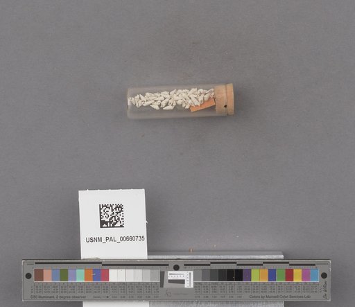 NSF ADBC EPICC TCN