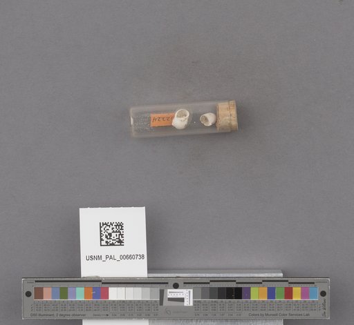 NSF ADBC EPICC TCN