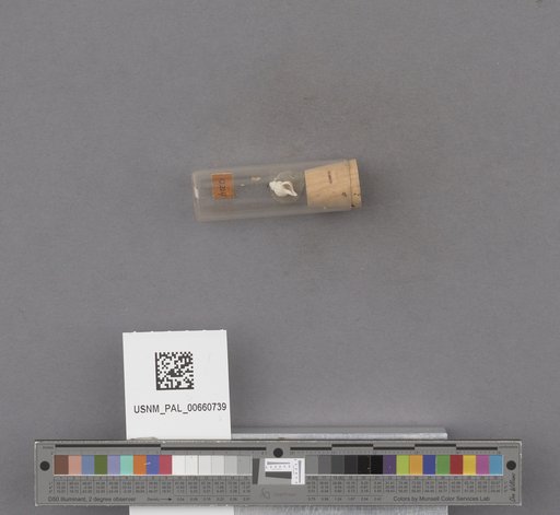 NSF ADBC EPICC TCN