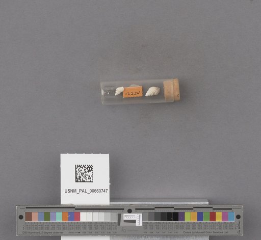 NSF ADBC EPICC TCN