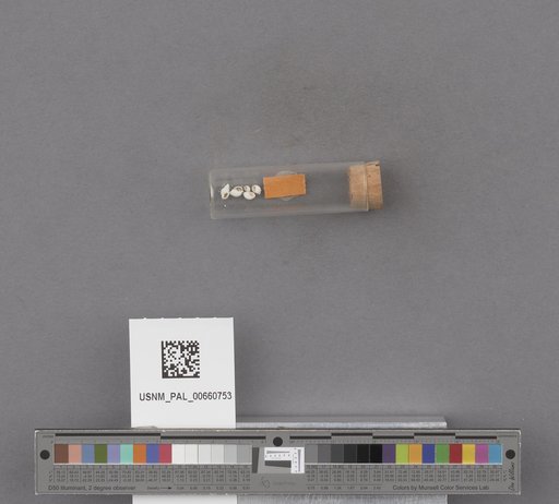 NSF ADBC EPICC TCN