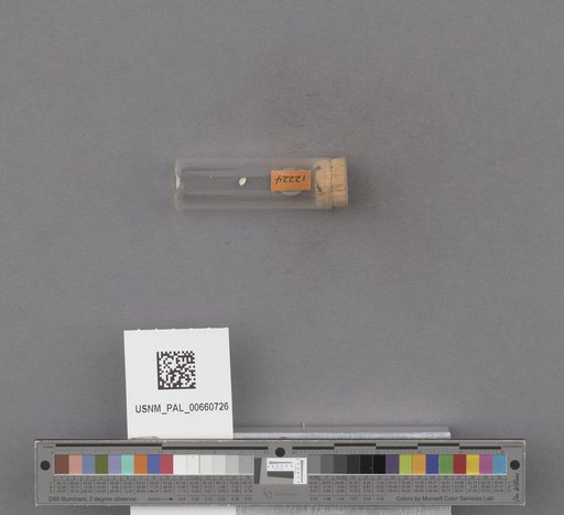 NSF ADBC EPICC TCN