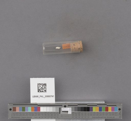 NSF ADBC EPICC TCN