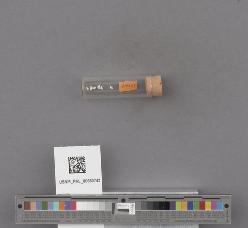 NSF ADBC EPICC TCN