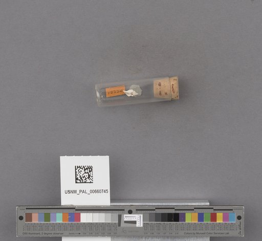 NSF ADBC EPICC TCN