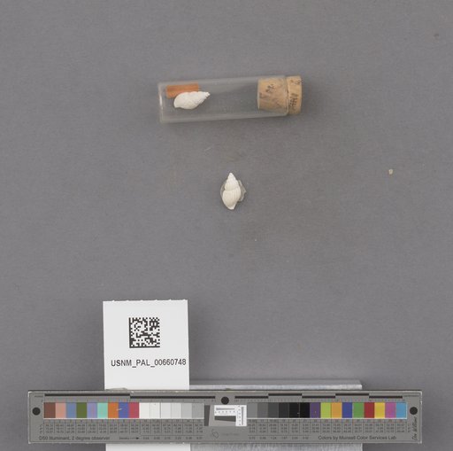 NSF ADBC EPICC TCN