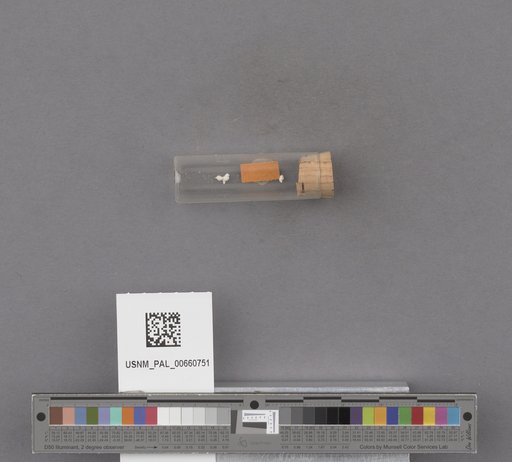 NSF ADBC EPICC TCN