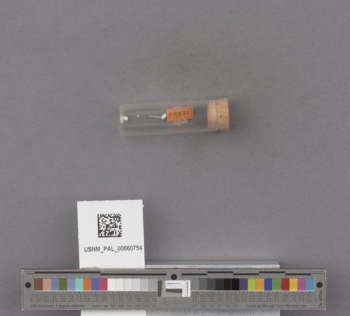 NSF ADBC EPICC TCN