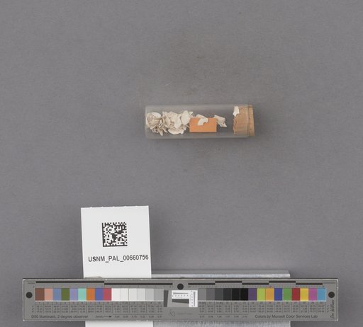 NSF ADBC EPICC TCN