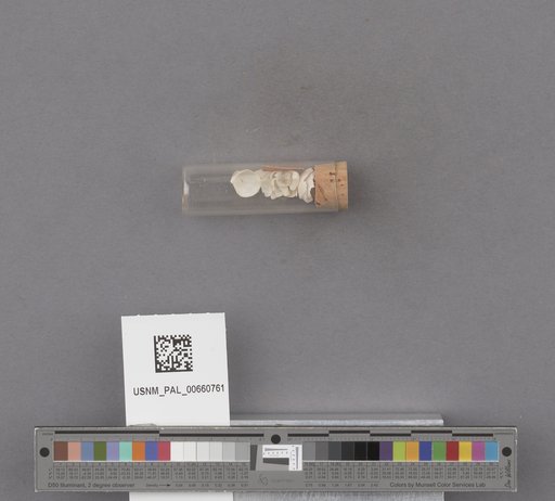 NSF ADBC EPICC TCN