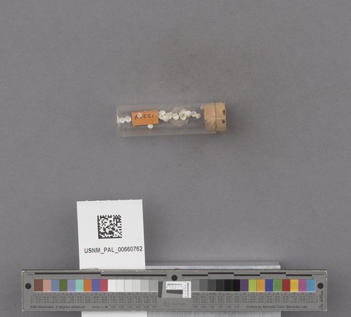 NSF ADBC EPICC TCN