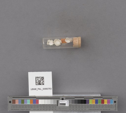 NSF ADBC EPICC TCN
