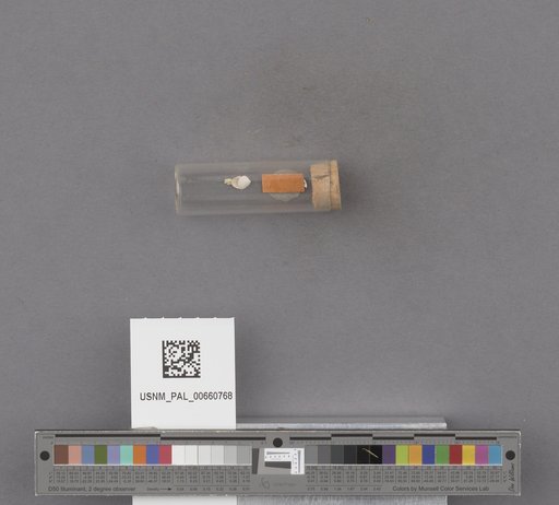 NSF ADBC EPICC TCN