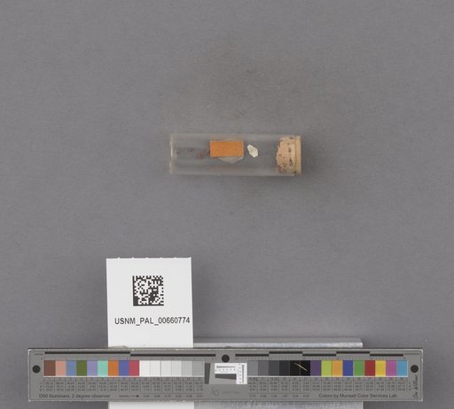 NSF ADBC EPICC TCN