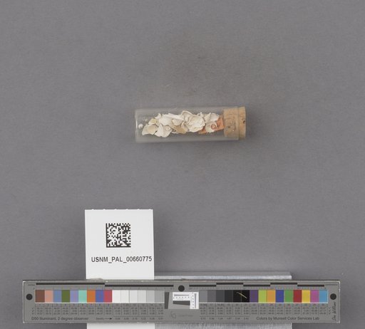 NSF ADBC EPICC TCN