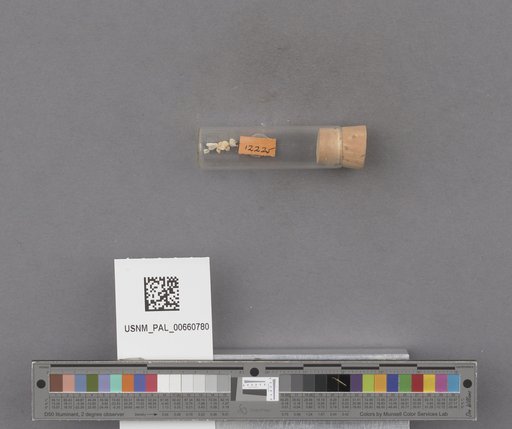 NSF ADBC EPICC TCN