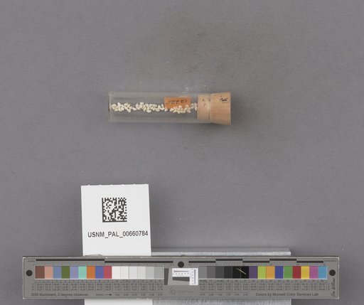 NSF ADBC EPICC TCN