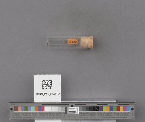 NSF ADBC EPICC TCN
