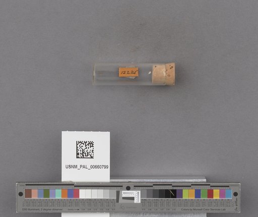 NSF ADBC EPICC TCN