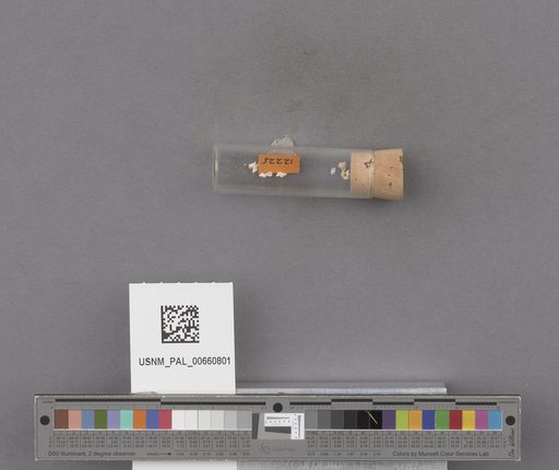 NSF ADBC EPICC TCN
