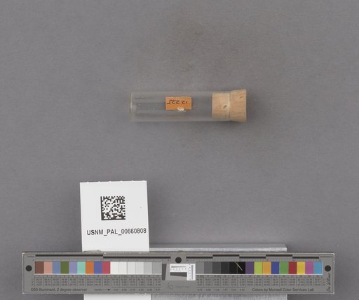 NSF ADBC EPICC TCN