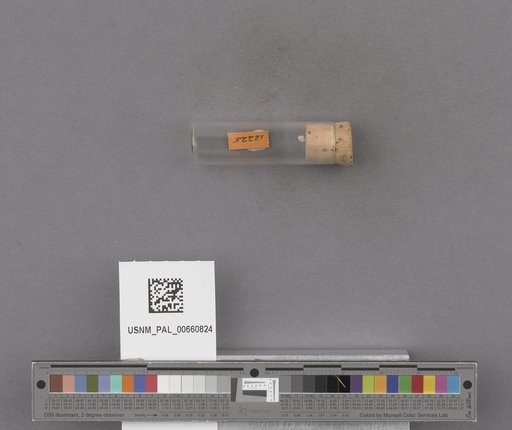 NSF ADBC EPICC TCN