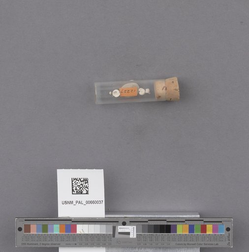 NSF ADBC EPICC TCN