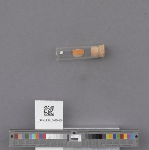 NSF ADBC EPICC TCN