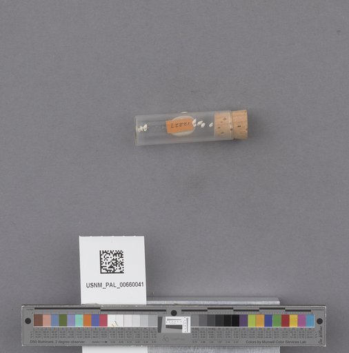 NSF ADBC EPICC TCN