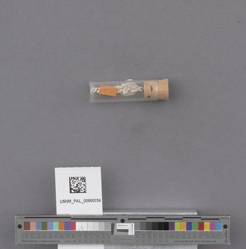 NSF ADBC EPICC TCN