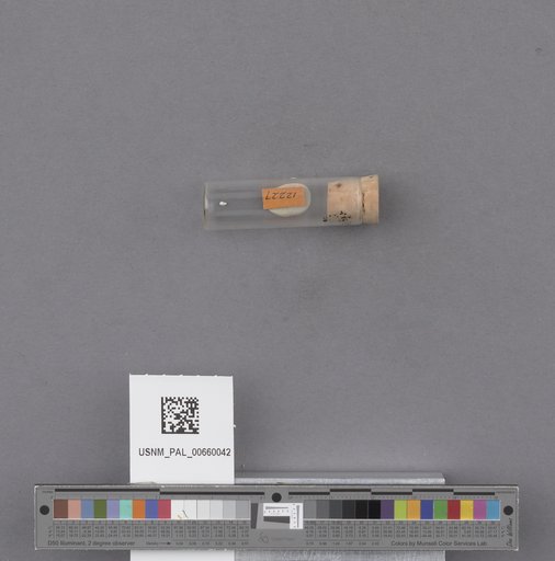 NSF ADBC EPICC TCN