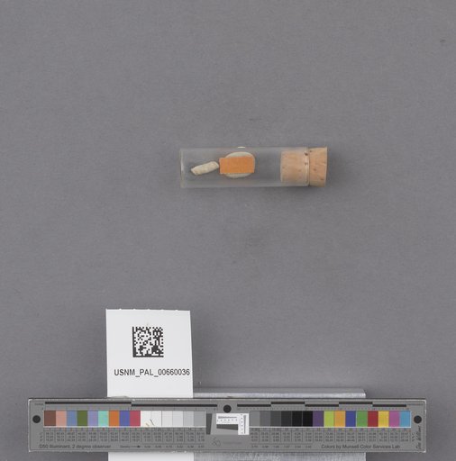 NSF ADBC EPICC TCN