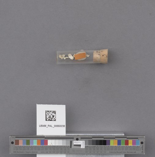 NSF ADBC EPICC TCN