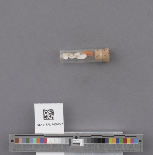 NSF ADBC EPICC TCN