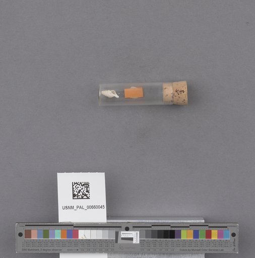 NSF ADBC EPICC TCN