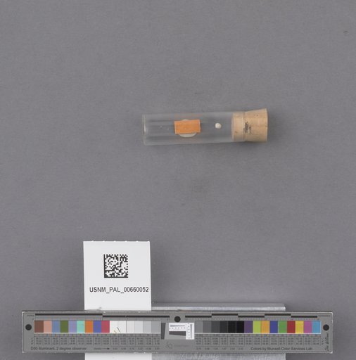 NSF ADBC EPICC TCN